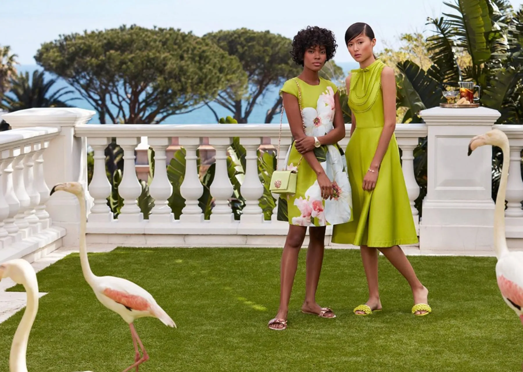 Ted Baker