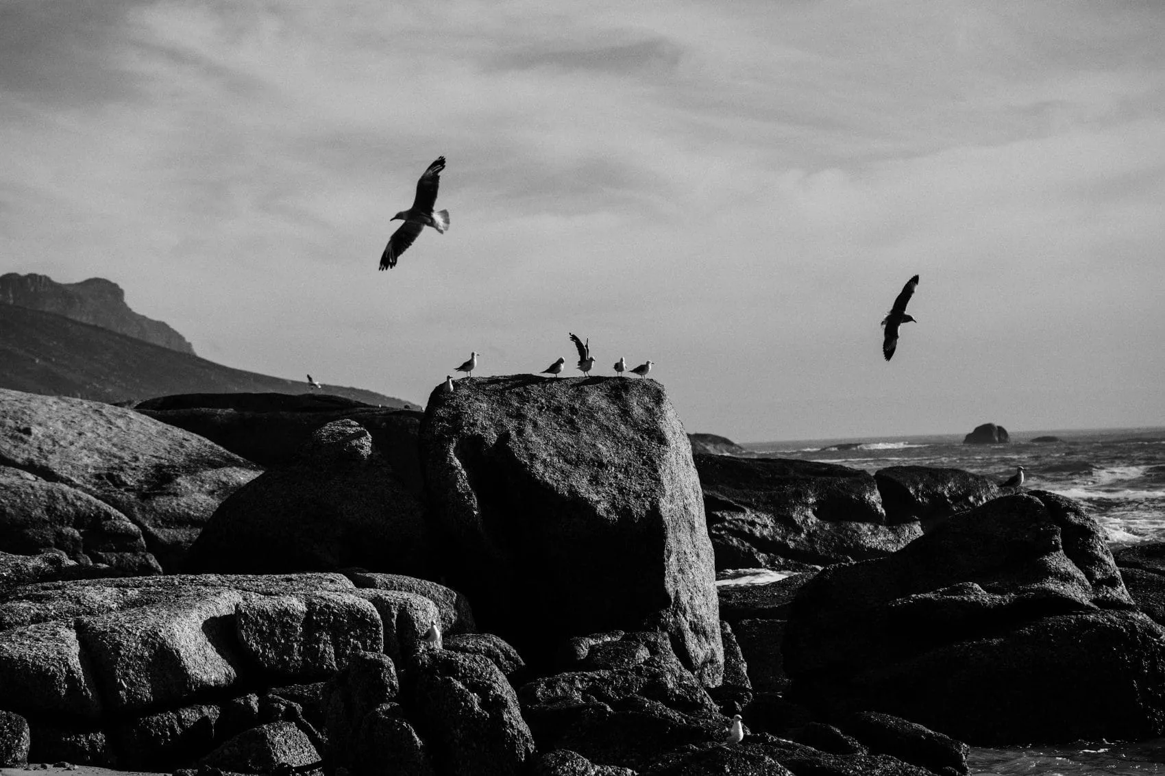 NN07 - NN07 campaign produced by Steel Productions in South Africa, photographed by Tobias Regell
