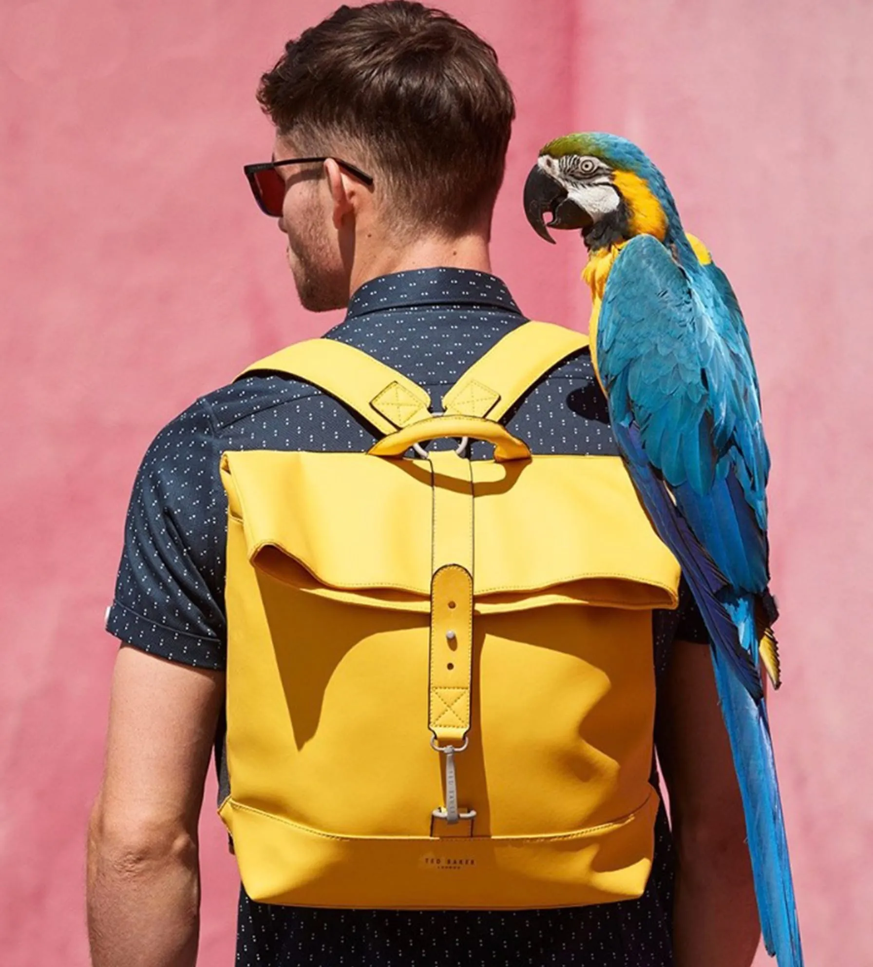 Ted Baker