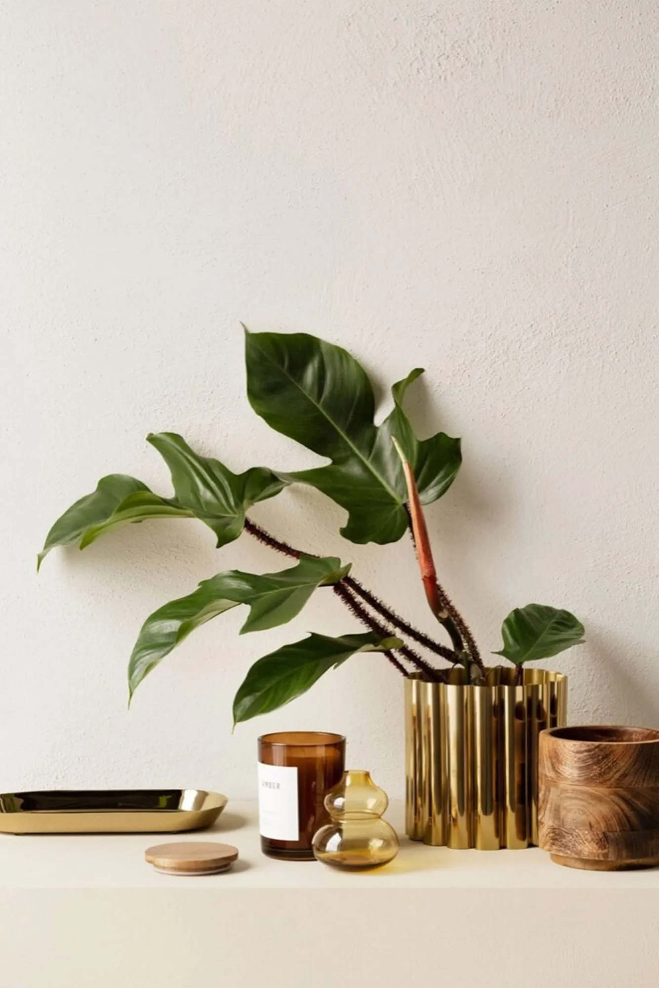 hm-home-greenery