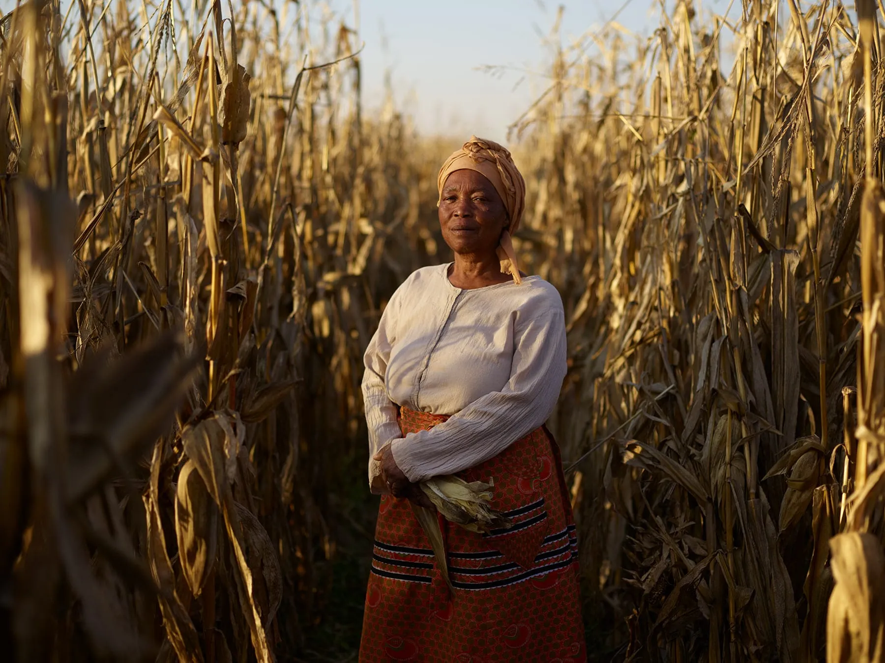 Corteva - Corteva campaign produced by Steel Productions in South Africa, photographed by Joey Lawrence