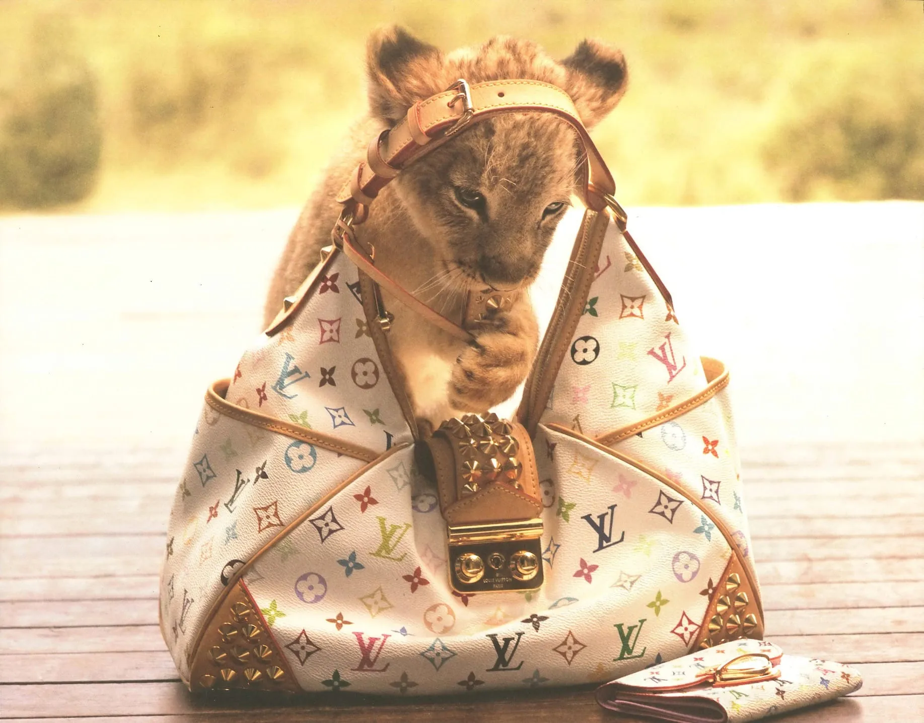 Louis Vuitton Travel - Louis Vuitton campaign produced by Steel Productions in South Africa, photographed by Carter Smith