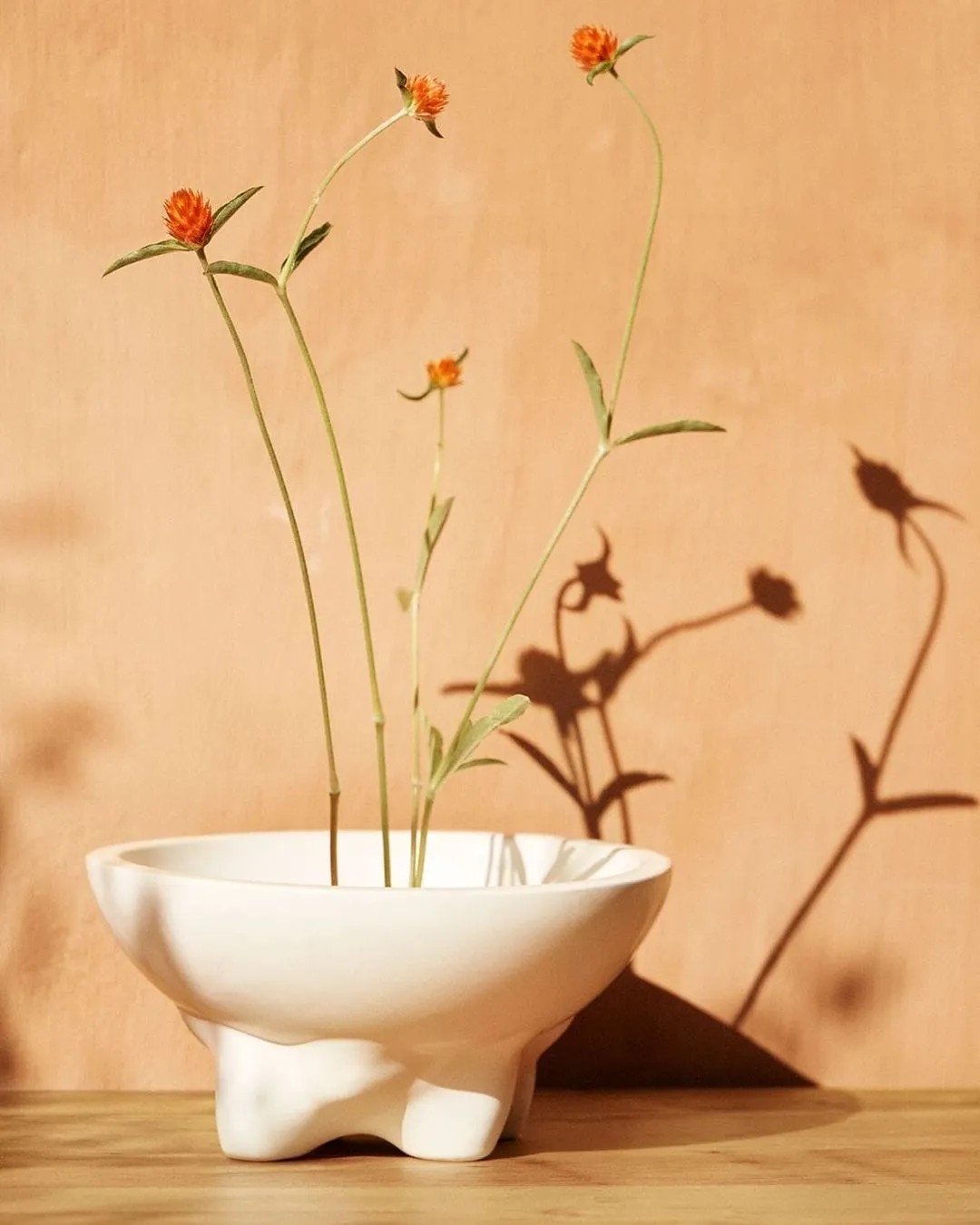 H&M Home Late Summer 2024 - H&M campaign produced by Steel Productions in South Africa, photographed by Inge Prins