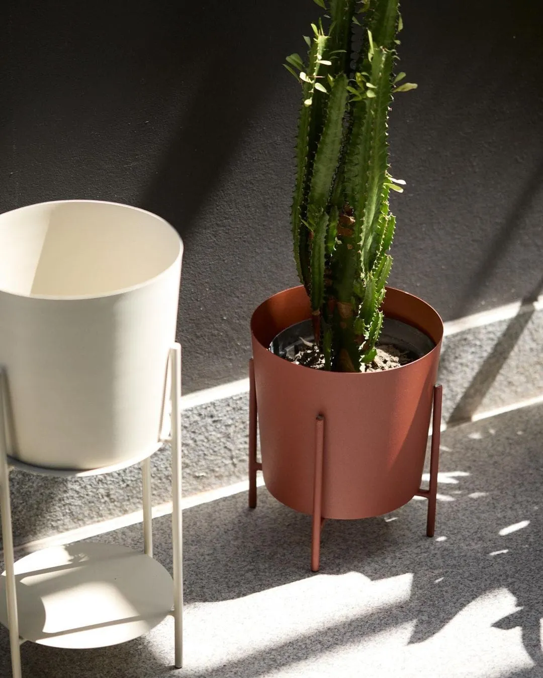 H&M Home Spring 2024 - H&M campaign produced by Steel Productions in South Africa, photographed by Inge Prins