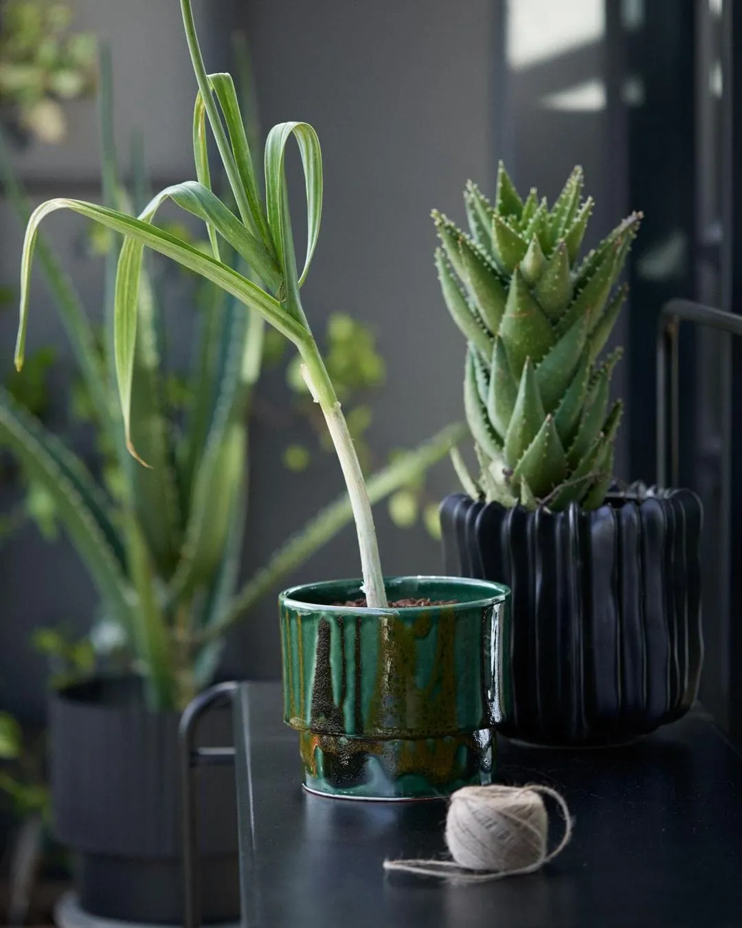 H&M Home Spring 2024 - H&M campaign produced by Steel Productions in South Africa, photographed by Inge Prins
