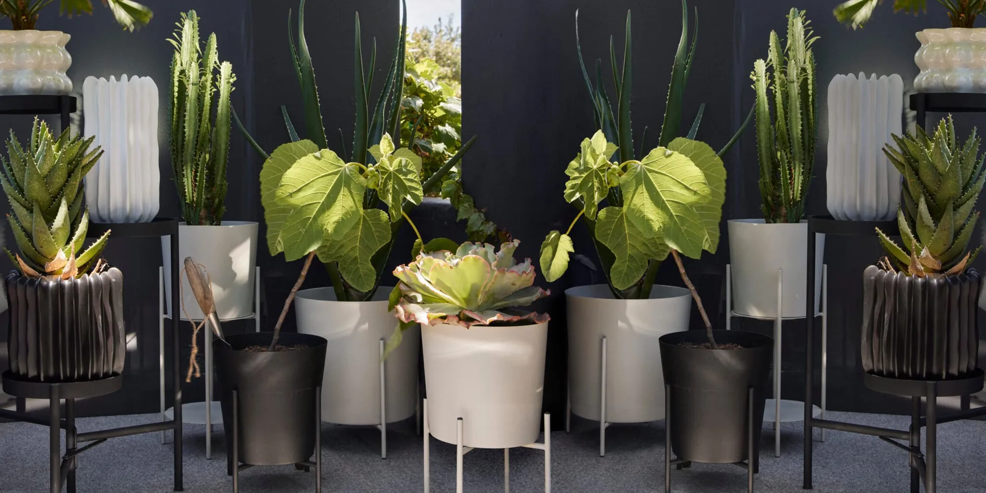H&M Home Spring 2024 - H&M campaign produced by Steel Productions in South Africa, photographed by Inge Prins