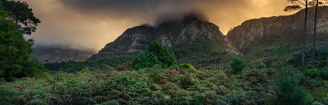 Nature photo and film locations near Cape Town, South Africa