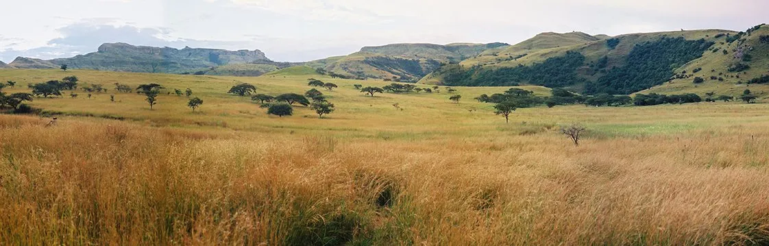 Savannah photo and film locations near Cape Town, South Africa
